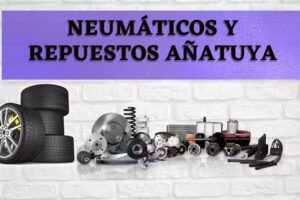 Neumáticos y Repuestos Añatuya