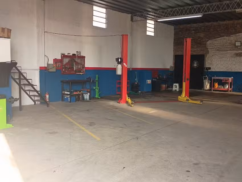 Neumáticos y suspensión RG19