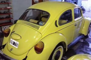 Palmucci Servicio Técnico Automotor