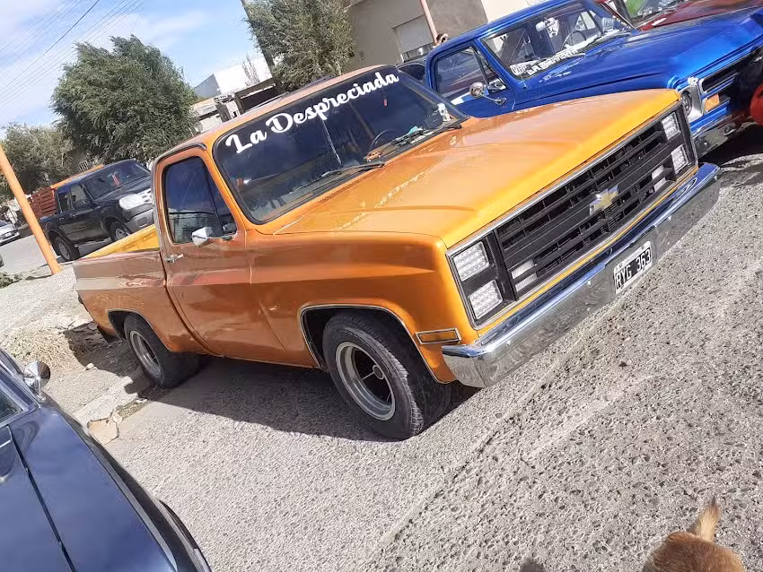 Patagonia Led Estetica