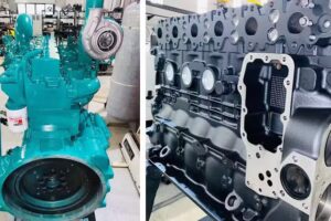 Rectificacion Cingolani