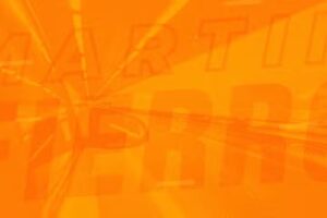 Repuestos Martín Fierro