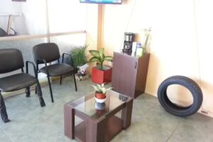 Roma Neumáticos y Suspensión