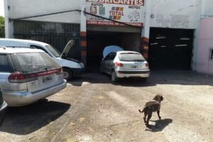 Sergio Dalmaso Servicio Mecánico