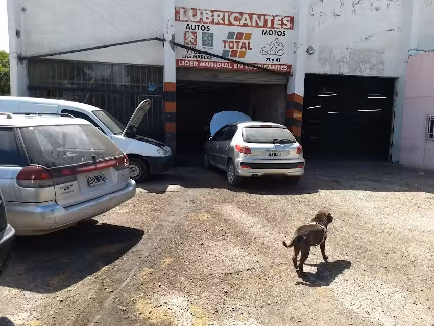 Sergio Dalmaso Servicio Mecánico