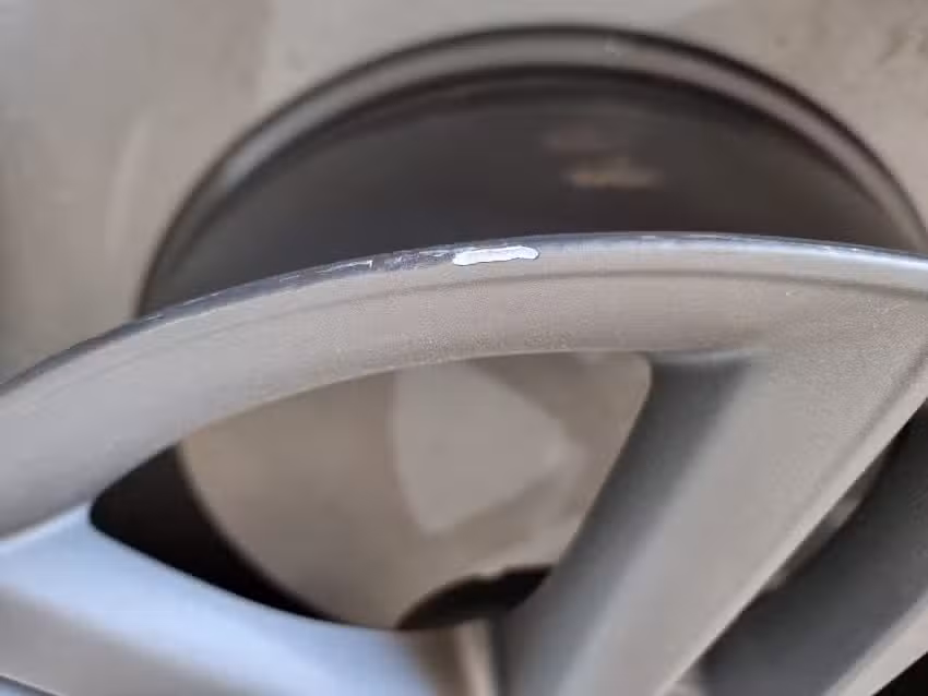 Servi Rueda Sevillano