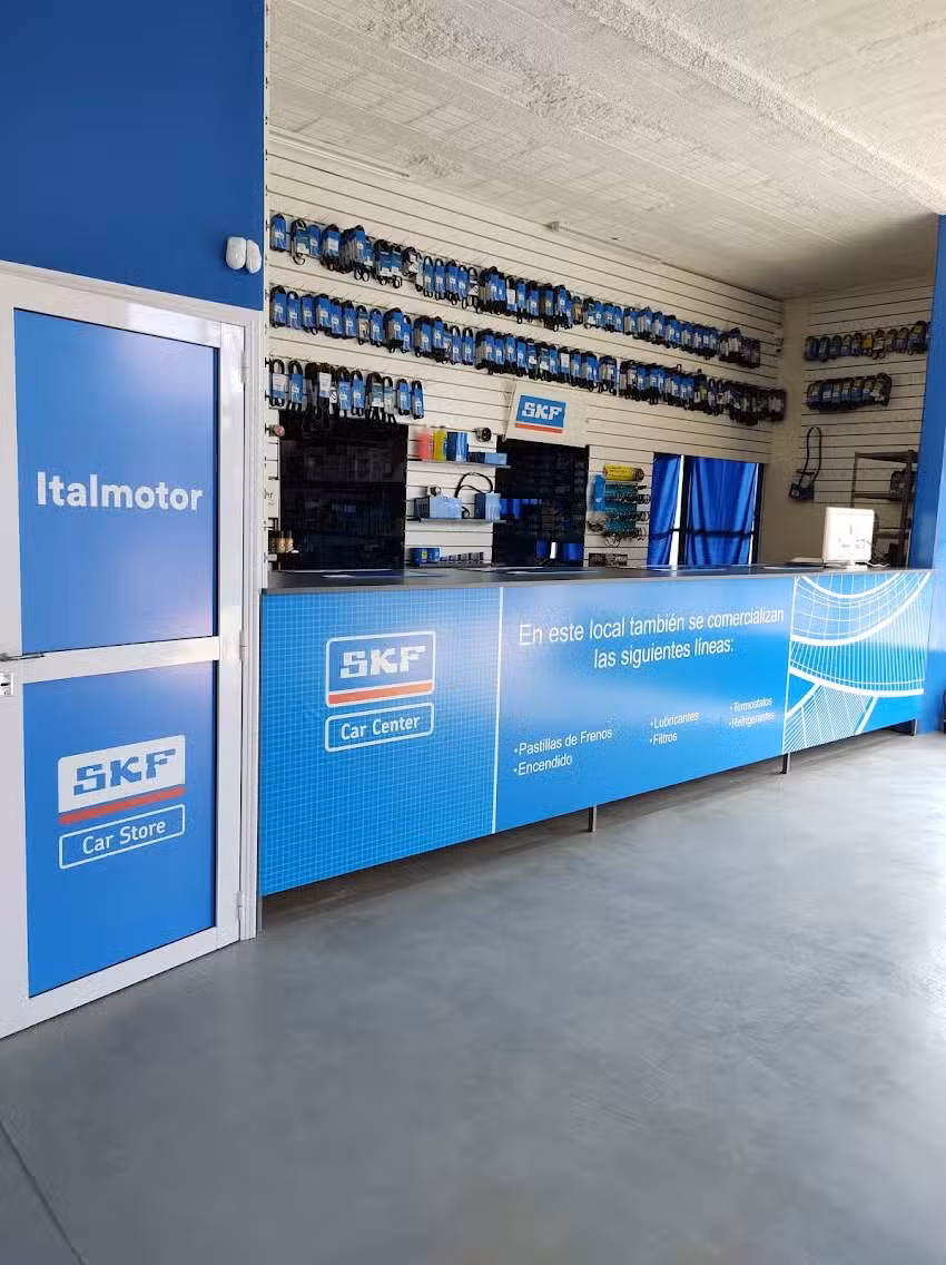 SKF ITALMOTOR CAR STORE
