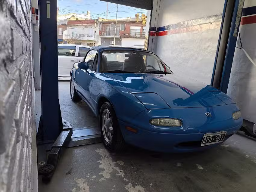 Speed Cars