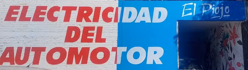 Taller de Electricidad🚙 El Piojo