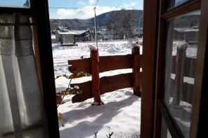 Taller Integral del Sur