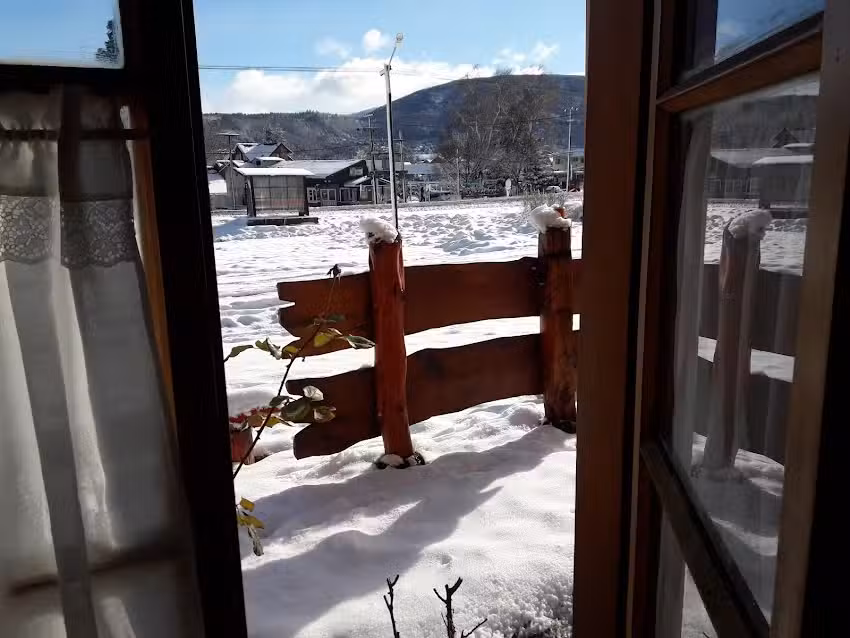 Taller Integral del Sur