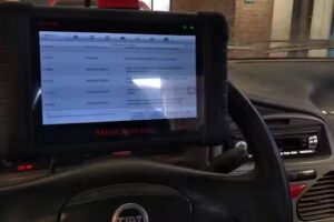 Taller Mecánico Schellemberg