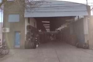 Terzaghi Neumáticos