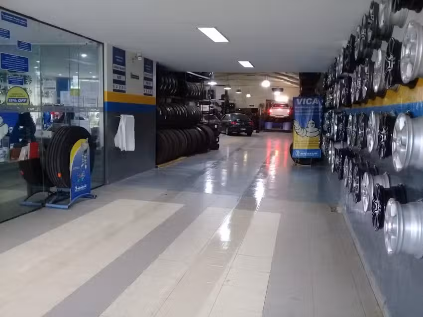 VICA NEUMATICOS Y SERVICIOS S.A (MICHELIN)