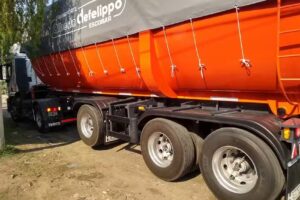 Vigia Y Viesa de Leonel Gomez Bernard