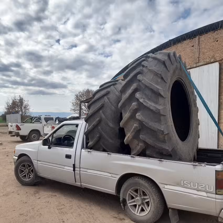 Wester Auto – Neumáticos, servicios y lubricentro